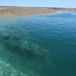 Collier Bay, Montgomery Reef, Red Cone Creek