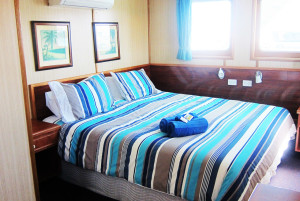 Eco Abrolhos deluxe cabin room