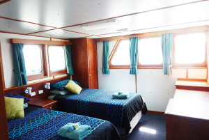 Eco Abrolhos deluxe cabin split beds