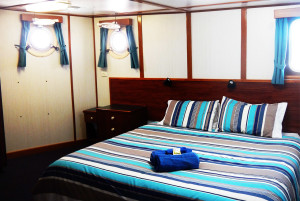 Eco Abrolhos deluxe middle deck cabin