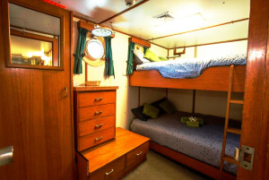 Eco Abrolhos double bed bunk cabin