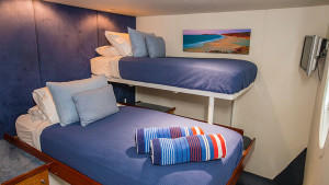 Great Escapes horizon view stateroom twin