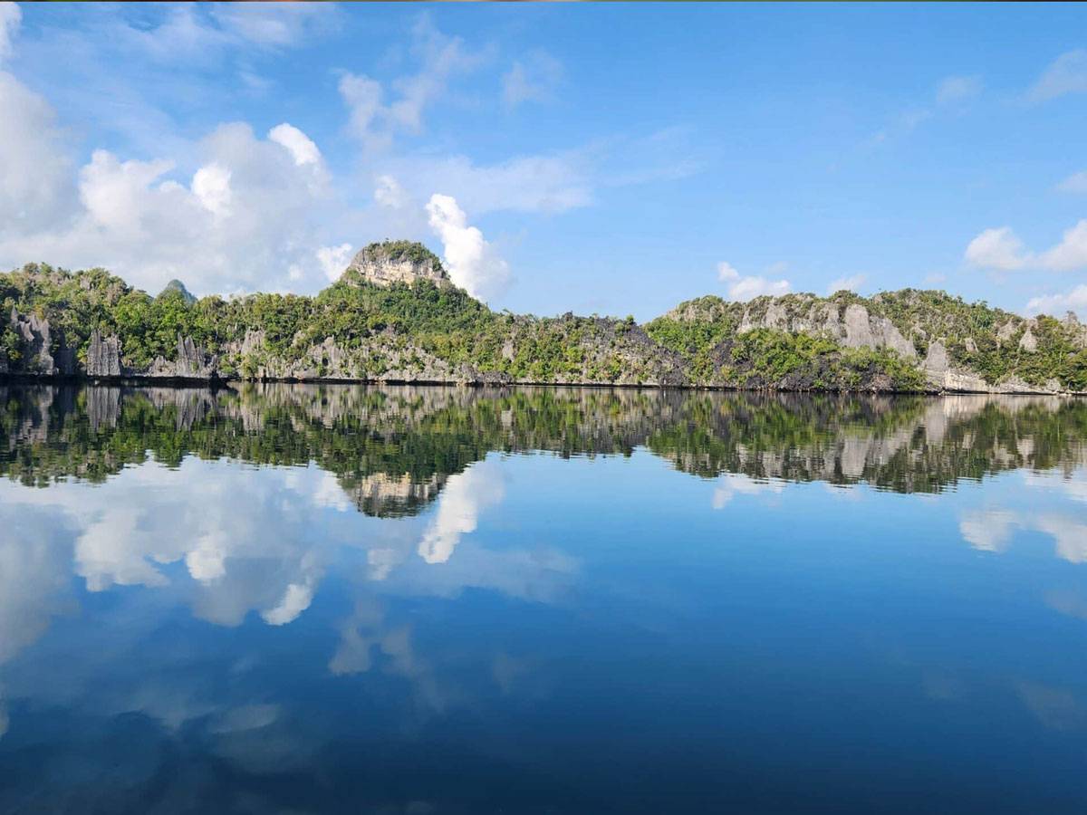 blue water, blue sky green tropical trees